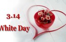 Sự tích lãng mạn về nguồn gốc ra đời Valentine Trắng