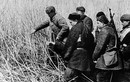 Ảnh độc: Liên Xô những ngày chống phát xít 