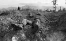 Chiến trường Việt Nam 1969 - 1975 khốc liệt trên AP 
