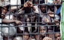 Bên trong nhà tù “địa ngục trần gian” khét tiếng thế giới 