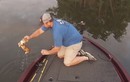 Kỳ lạ đi câu cá lại vớ được mèo giữa sông