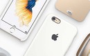 iPhone bản cao nhất về Việt Nam có giá hơn 70 triệu đồng