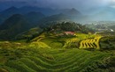 Ruộng bậc thang Việt Nam tuyệt đẹp trên National Geographic 