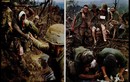 Ảnh màu kinh điển Chiến tranh Việt Nam 1962-1971 của Larry Burrows