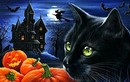 Những tiết lộ bất ngờ về lễ hội Halloween