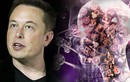 Elon Musk: "Trí tuệ nhân tạo nguy hiểm hơn cả chương trình hạt nhân"