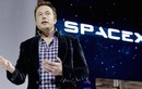 Elon Musk: tham vọng kết nối não người với máy tính