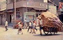 Ít ai tin được đây là thủ đô Seoul năm 1960 - 1970 