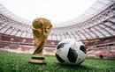 Bí mật thú vị về tên gọi của trái bóng World Cup 2018