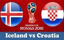 Mèo Gabby trổ tài tiên tri trận đấu Iceland - Croatia