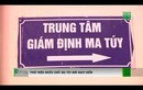 Video: Phát hiện nhiều chất ma túy mới nguy hiểm