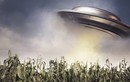 Bí ẩn gây sốc ở vùng đất UFO liên tục xuất hiện 