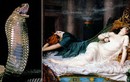 Giải mã cực sốc loài rắn độc cắn chết Nữ hoàng Cleopatra