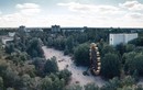 Vì sao thực vật ở Chernobyl phát triển thần kỳ sau thảm họa?