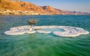 Ở giữa Biển Chết có một hòn đảo kỳ diệu trắng tinh như tuyết
