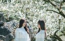 Hoa mận nở trắng trên cao nguyên Mộc Châu thu hút giới trẻ 