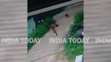Video: Đang chơi trên đường, bé trai bị 5 con chó lao tới tấn công