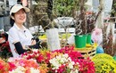 Đà Nẵng: Nhiều tuyến phố rực rỡ sắc hoa đón Tết