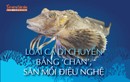 [INFOGRAPHIC]: Loài cá di chuyển bằng 'chân', săn mồi điệu nghệ