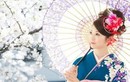 Phụ nữ Nhật Bản xưa mặc kimono nhưng không mặc đồ lót, vì sao?