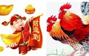Tuần tới, 4 con giáp Thần Tài chiếu cố, làm gì cũng thuận