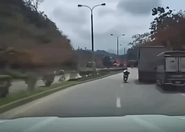 Nam sinh vỡ hàm do tông thẳng xe đạp điện vào đuôi xe tải