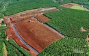 Dự án có đất hỗn hợp, Lâm Đồng “cầu cứu” 4 Bộ hướng dẫn