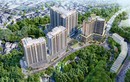Hồ sơ Nhà An Bình đầu tư NƠXH hơn 205 tỷ ở Lâm Đồng 