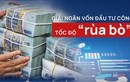 Giải ngân vốn đầu tư công tốc độ “rùa bò“