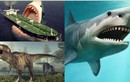 Bí ẩn về quái thú cổ đại Megalodon thống trị đại dương