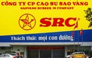 Dự thu 300 tỷ quyền thuê đất, tài sản Cao su Sao Vàng sao?