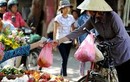 Hà Nội phấn đấu 100% chợ truyền thống không sử dụng túi nilon