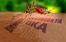 Kết quả xét nghiệm 83 người nghi nhiễm virus Zika ở VN