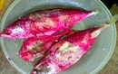 Vi khuẩn Serratia marcescens khiến cá bạc má đổi màu đỏ có nguy hiểm?