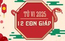 Dự đoán 12 con giáp năm 2025, tuổi nào tài lộc, tuổi nào đen?