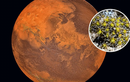 Tiết lộ chấn động NASA tiêu diệt sự sống trên Sao Hỏa năm 1976? 
