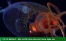Lần đầu tiên “tóm gọn” quái mực khổng lồ còn sống dưới đáy biển 