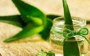Loài hoa ngàn năm nở một lần, gia chủ ắt phát tài rực rỡ 