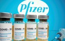 Việt Nam sẽ có 31 triệu liều vaccine Pfizer trong năm nay