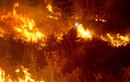 Hình ảnh cháy rừng tàn khốc ở Mỹ