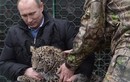 Tổng thống Putin gây sốt vì thuần phục báo hoang 