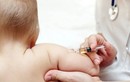 Bộ Y tế công bố 8 vắc xin kết hợp được phép lưu hành tại Việt Nam