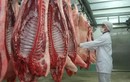 Chăn nuôi lợn: Vượt Trung Quốc, Thái Lan, Việt Nam chiếm đỉnh