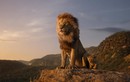 Ấn tượng thế giới động vật châu Phi hiện qua phim 'Vua sư tử'