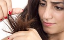 Thói quen tai hại khiến rụng tóc, hói đầu, nhiều người vẫn làm hàng ngày 