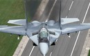 MiG-29: kẻ thù của “thiết ưng” F-16, “ong bắp cày” F/A-18