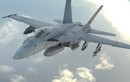 “Siêu ong bắp cày” F/A-18E/F có thể tàng hình