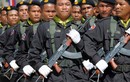 Campuchia tăng ngân sách quốc phòng năm 2014