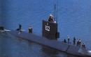 Việt Nam từng có ý định mua tàu ngầm Serbia?