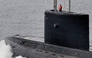 Việt Nam sắp nhận tàu ngầm HQ-183 TP Hồ Chí Minh